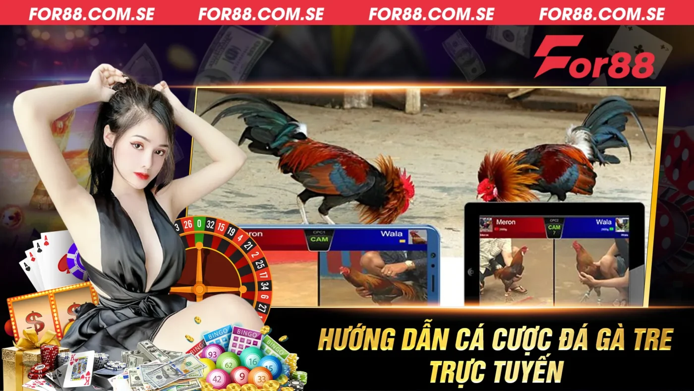 Huong-dan-ca-cuoc-da-ga-tre-truc-tuyen