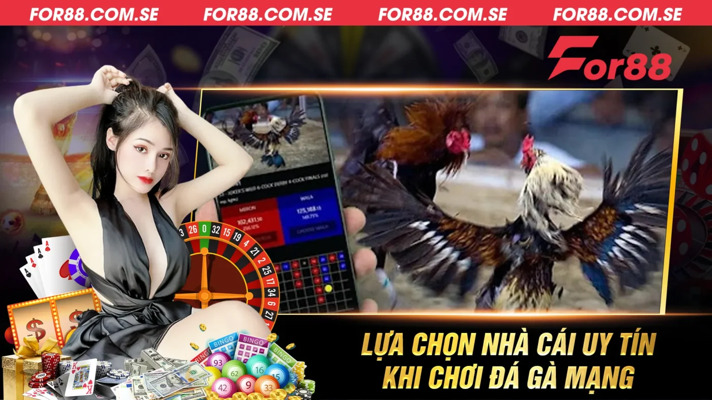 Lựa chọn nhà cái uy tín khi chơi đá gà mạng